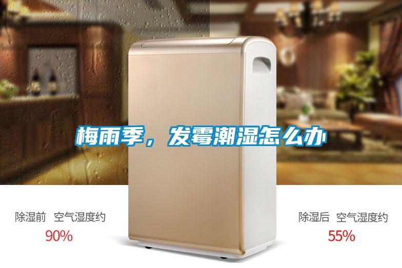 梅雨季，發(fā)霉潮濕怎么辦