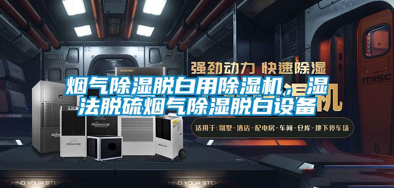 煙氣除濕脫白用除濕機，濕法脫硫煙氣除濕脫白設(shè)備