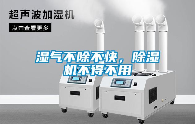 濕氣不除不快，除濕機(jī)不得不用