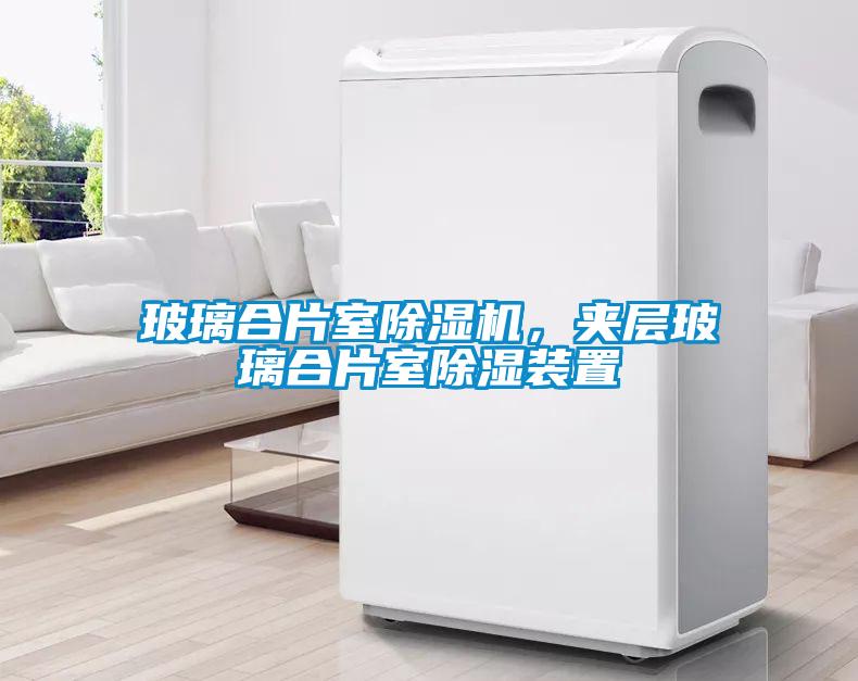 玻璃合片室除濕機(jī)，夾層玻璃合片室除濕裝置