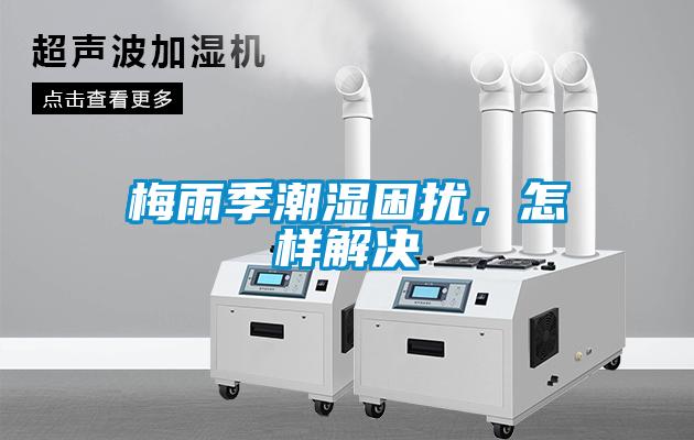 梅雨季潮濕困擾，怎樣解決