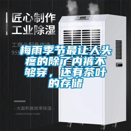 梅雨季節(jié)最讓人頭疼的除了內(nèi)褲不夠穿，還有茶葉的存儲