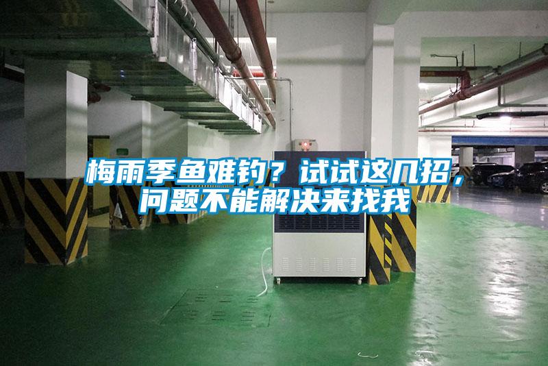 梅雨季魚(yú)難釣？試試這幾招，問(wèn)題不能解決來(lái)找我