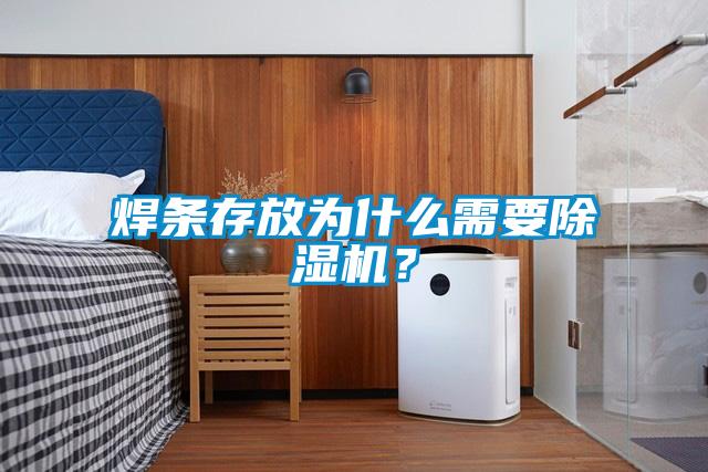 焊條存放為什么需要除濕機(jī)？