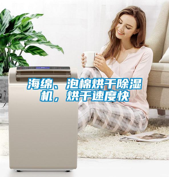 海綿、泡棉烘干除濕機(jī)，烘干速度快