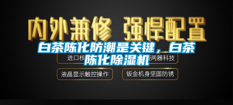 白茶陳化防潮是關(guān)鍵，白茶陳化除濕機(jī)