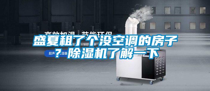 盛夏租了個(gè)沒空調(diào)的房子？除濕機(jī)了解一下