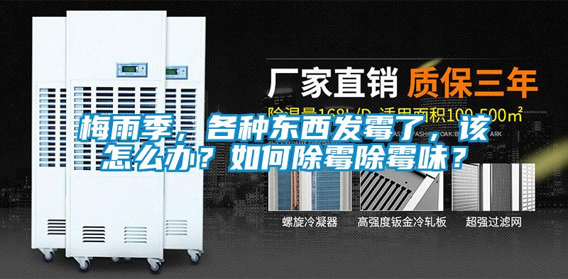 梅雨季，各種東西發(fā)霉了，該怎么辦？如何除霉除霉味？