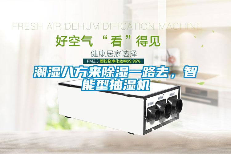 潮濕八方來除濕一路去，智能型抽濕機