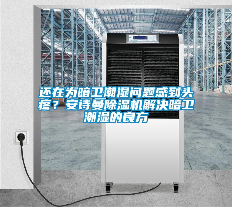 還在為暗衛(wèi)潮濕問題感到頭疼？安詩曼除濕機(jī)解決暗衛(wèi)潮濕的良方