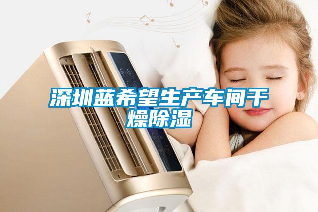 深圳藍(lán)希望生產(chǎn)車(chē)間干燥除濕
