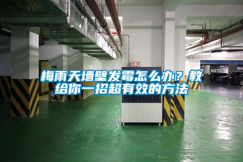 梅雨天墻壁發(fā)霉怎么辦？教給你一招超有效的方法