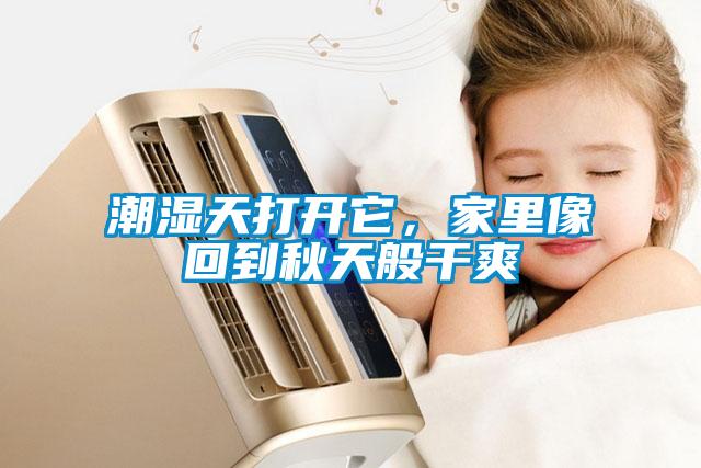 潮濕天打開它，家里像回到秋天般干爽