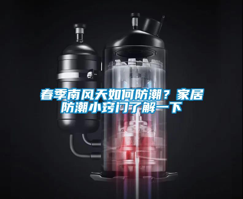 春季南風(fēng)天如何防潮？家居防潮小竅門(mén)了解一下