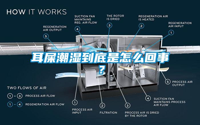 耳屎潮濕到底是怎么回事？