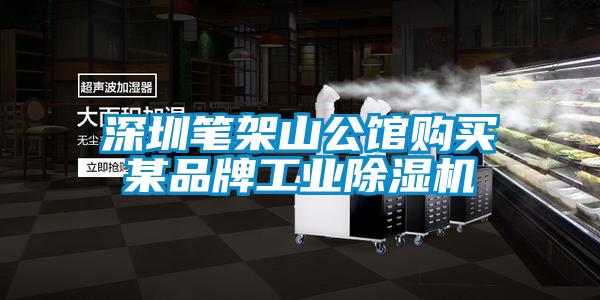 深圳筆架山公館購(gòu)買某品牌工業(yè)除濕機(jī)