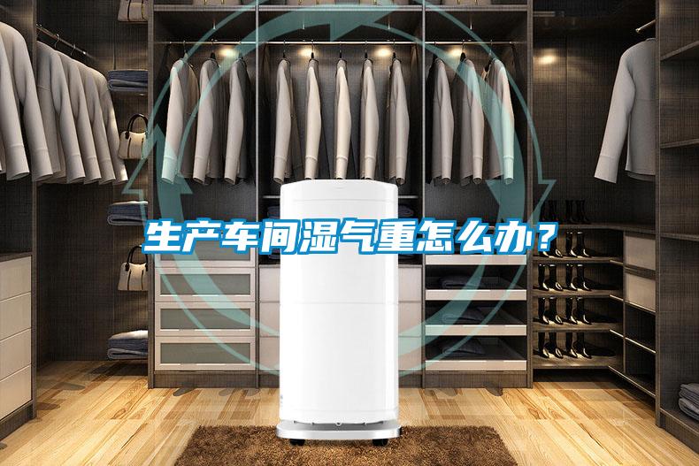 生產(chǎn)車間濕氣重怎么辦？