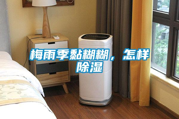 梅雨季黏糊糊，怎樣除濕