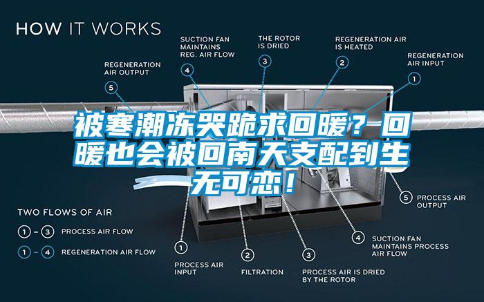 被寒潮凍哭跪求回暖？回暖也會被回南天支配到生無可戀！
