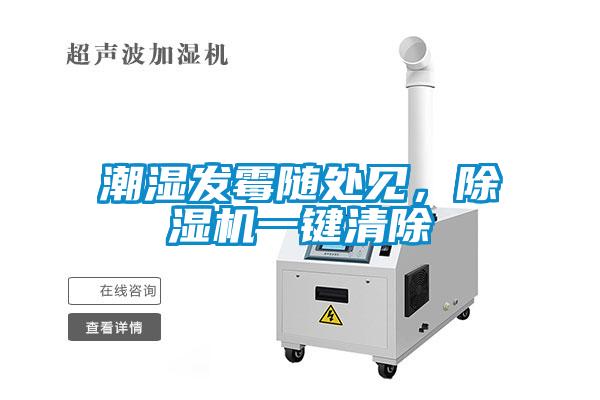 潮濕發(fā)霉隨處見，除濕機(jī)一鍵清除