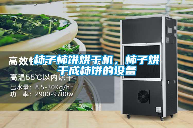 柿子柿餅烘干機，柿子烘干成柿餅的設(shè)備