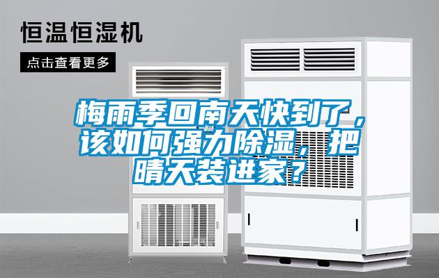 梅雨季回南天快到了，該如何強力除濕，把晴天裝進家？