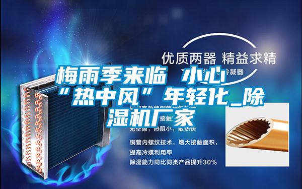 梅雨季來臨 小心“熱中風(fēng)”年輕化_除濕機廠家