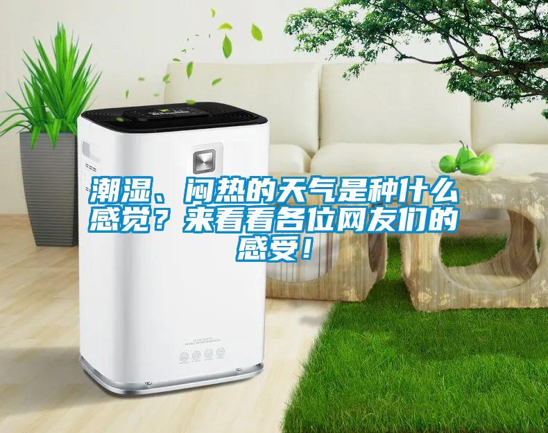 潮濕、悶熱的天氣是種什么感覺？來看看各位網(wǎng)友們的感受！