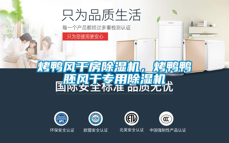 烤鴨風(fēng)干房除濕機(jī)，烤鴨鴨胚風(fēng)干專用除濕機(jī)