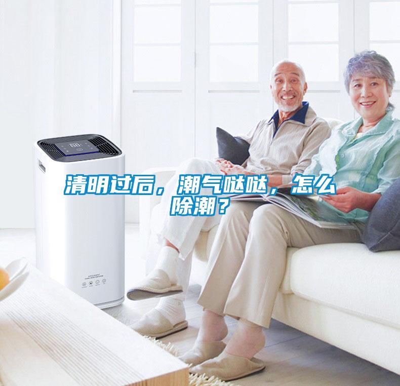 清明過后，潮氣噠噠，怎么除潮？