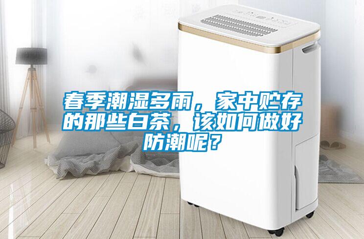 春季潮濕多雨，家中貯存的那些白茶，該如何做好防潮呢？