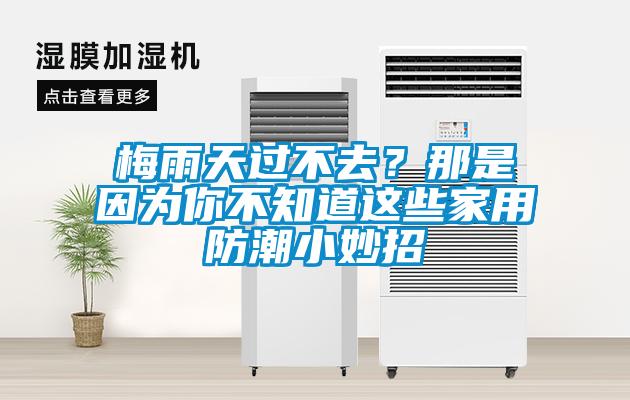 梅雨天過不去？那是因?yàn)槟悴恢肋@些家用防潮小妙招