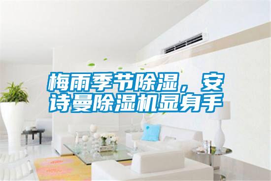 梅雨季節(jié)除濕，安詩曼除濕機顯身手