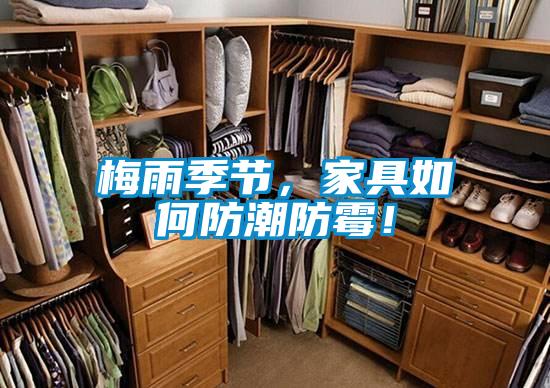 梅雨季節(jié)，家具如何防潮防霉！
