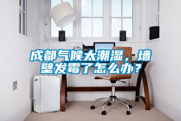 成都?xì)夂蛱睗?，墻壁發(fā)霉了怎么辦？