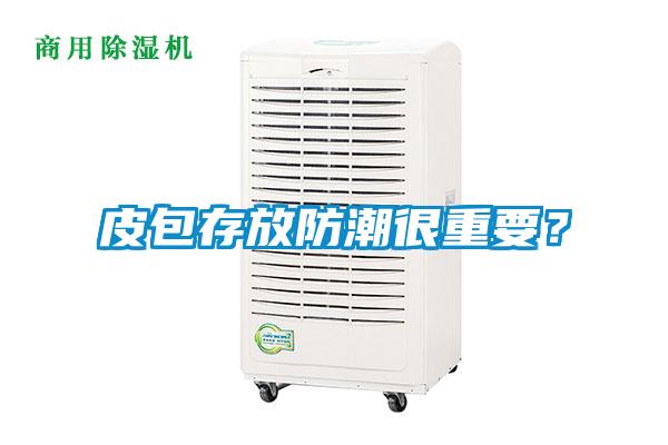 皮包存放防潮很重要？