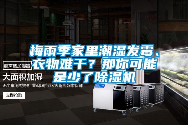 梅雨季家里潮濕發(fā)霉、衣物難干？那你可能是少了除濕機