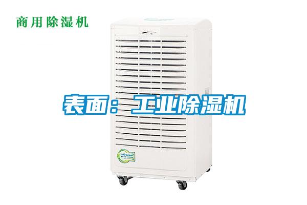 表面：工業(yè)除濕機(jī)