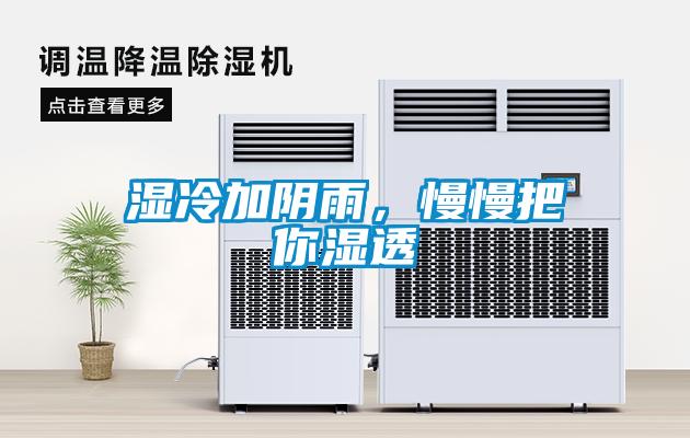 濕冷加陰雨，慢慢把你濕透