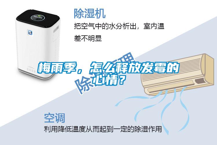 梅雨季，怎么釋放發(fā)霉的心情？