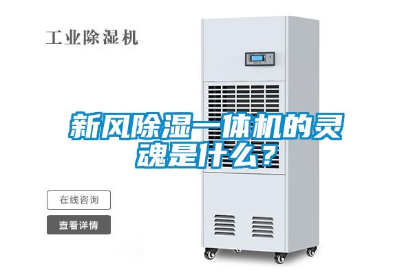新風(fēng)除濕一體機(jī)的靈魂是什么？