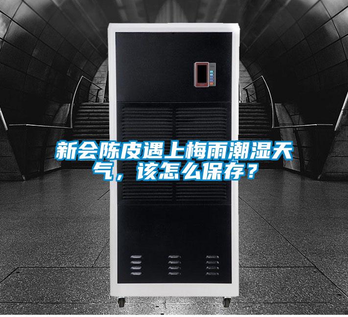 新會陳皮遇上梅雨潮濕天氣，該怎么保存？