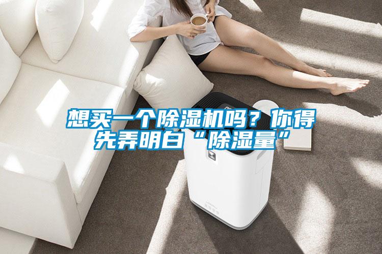 想買(mǎi)一個(gè)除濕機(jī)嗎？你得先弄明白“除濕量”