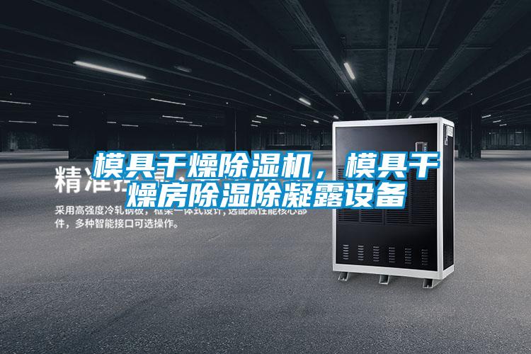 模具干燥除濕機，模具干燥房除濕除凝露設(shè)備