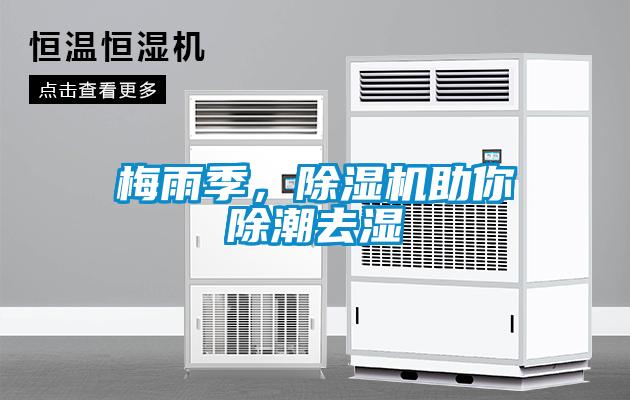 梅雨季，除濕機(jī)助你除潮去濕