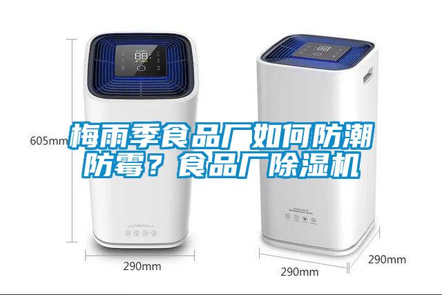 梅雨季食品廠如何防潮防霉？食品廠除濕機