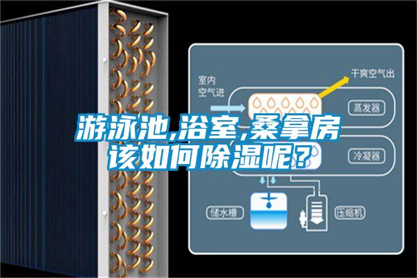 游泳池,浴室,桑拿房該如何除濕呢？