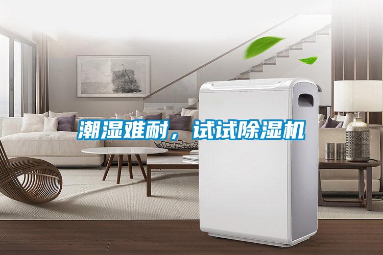 潮濕難耐，試試除濕機(jī)