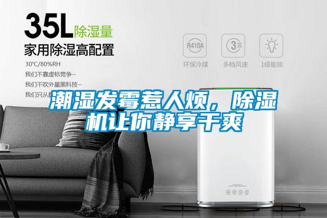 潮濕發(fā)霉惹人煩，除濕機(jī)讓你靜享干爽