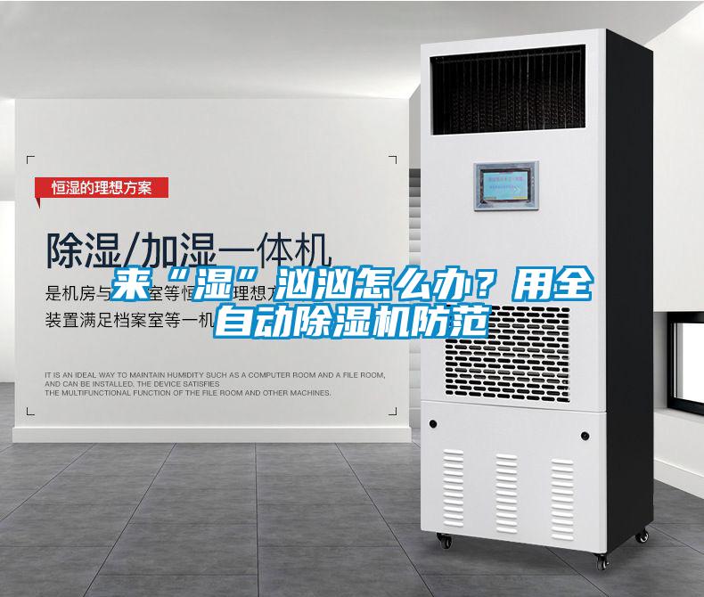 來(lái)“濕”洶洶怎么辦？用全自動(dòng)除濕機(jī)防范